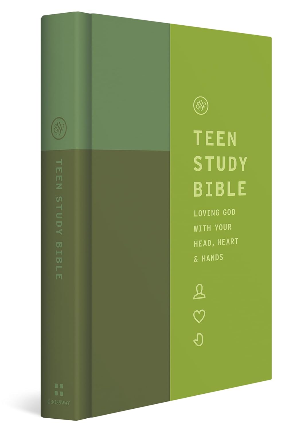 ESV Teen Study Bible (Hardcover, Wildwood)