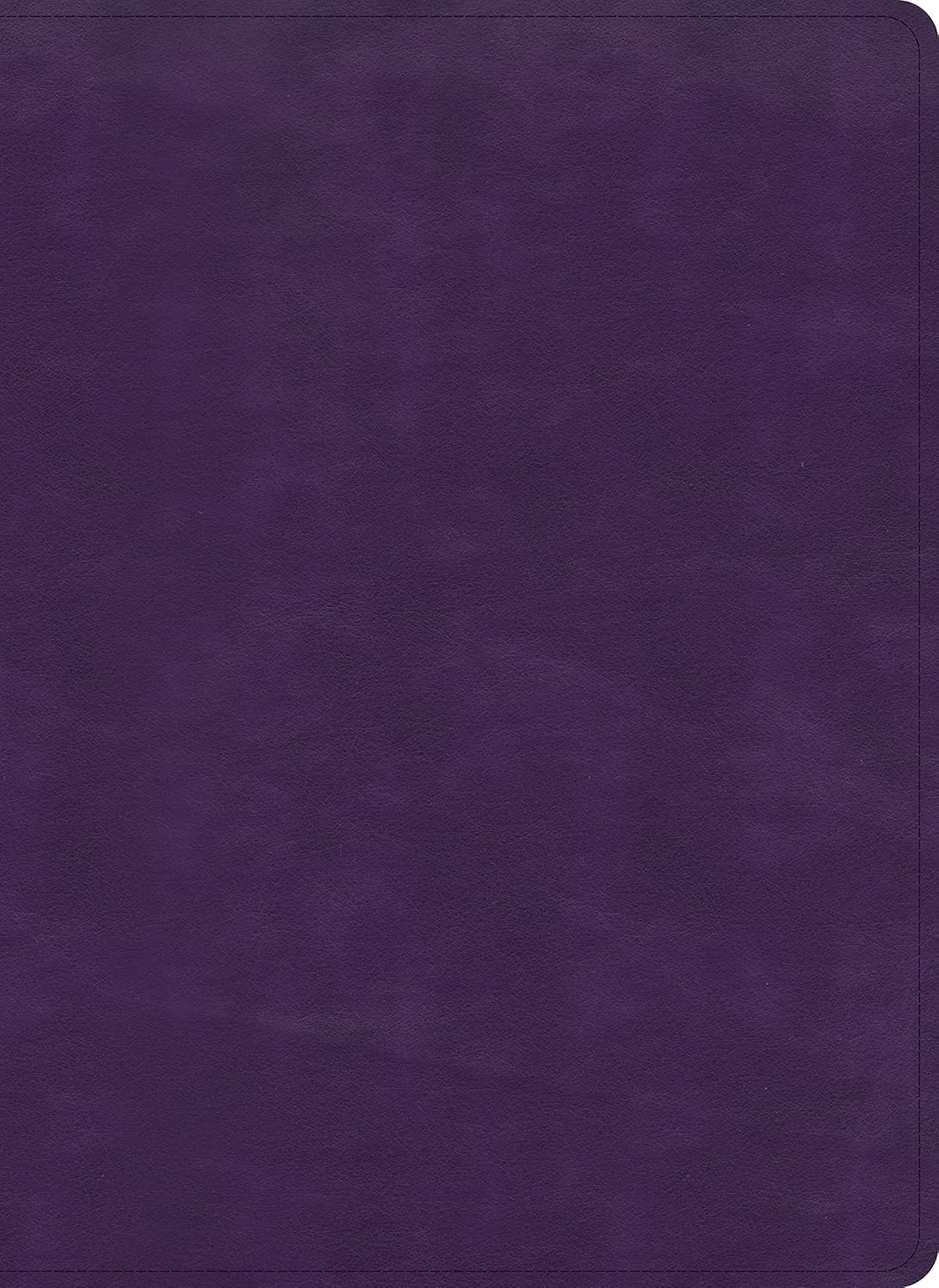 KJV Study Bible, Full-Color, Plum Leathertouch